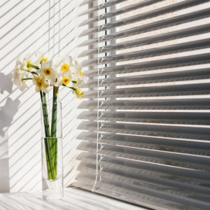 Venetian Blinds
